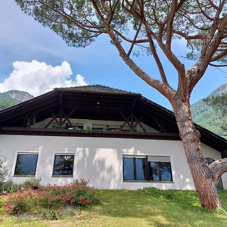 Apartment Marini Terlan Bagian luar foto